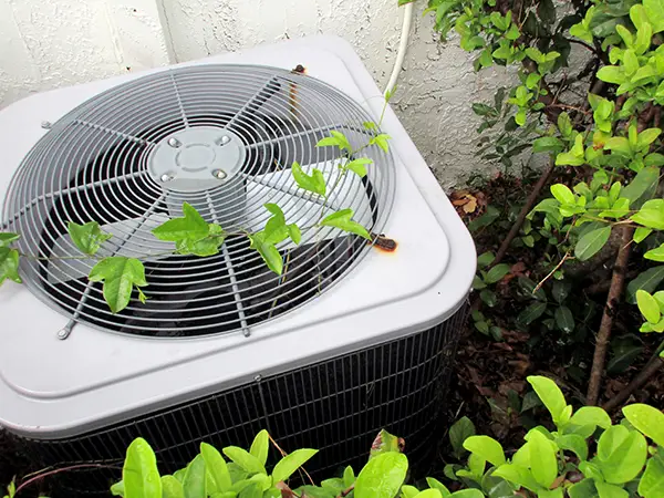 outdoor unit with ivy across it